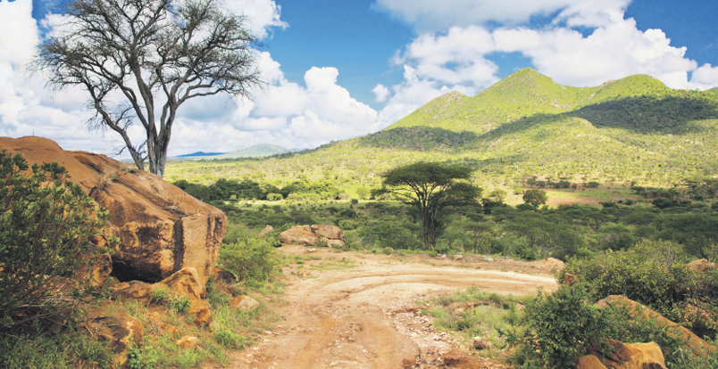 Einblick in die Natur Afrikas
